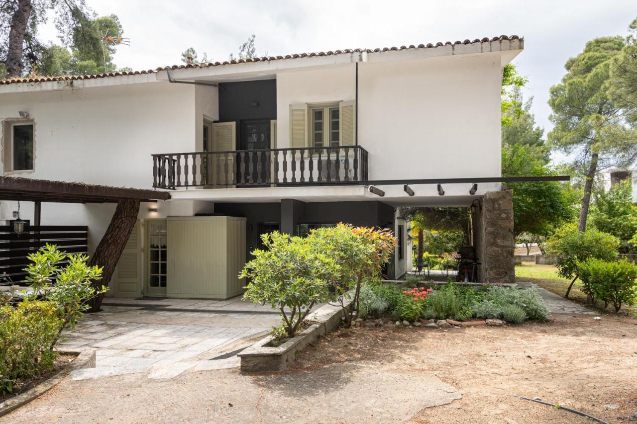 Rose Willow, Vourvourou #Feelslikehome Exterior foto