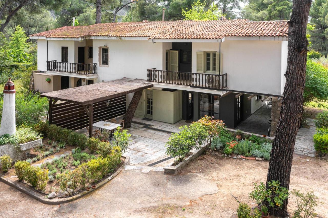 Rose Willow, Vourvourou #Feelslikehome Exterior foto